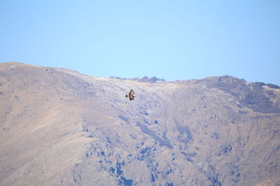 Scenic view of arid landscape against clear sky