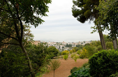 Trees and plants growing in city against sky