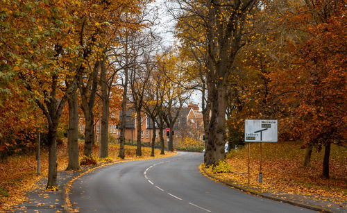 Road amidst trees during autumn