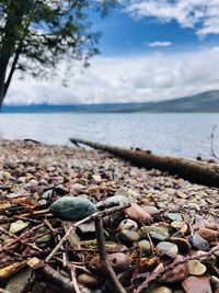 Close-up of pebbles on beach against sky