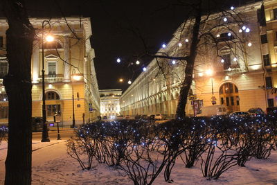 Illuminated christmas tree in city at night