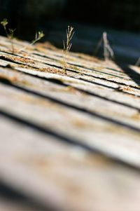 Close-up of rusty railroad track