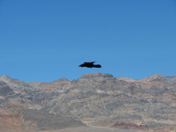 Low angle view of landscape against clear blue sky