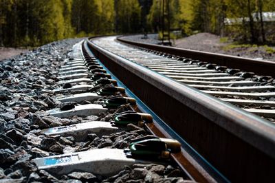 Surface level of railroad tracks in forest