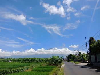 Road amidst field against sky