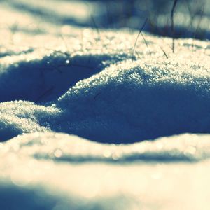 Surface level of snow covered landscape