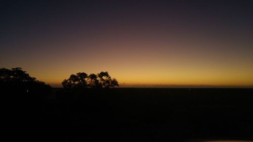 Silhouette of trees at sunset