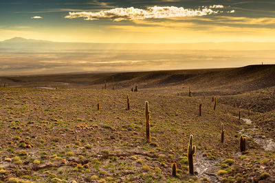 View of the atacama salt lake, salar de atacama, at sunset, atacama desert, chile