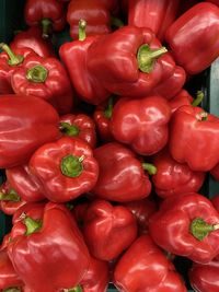 Full frame shot of red bell peppers at market stall