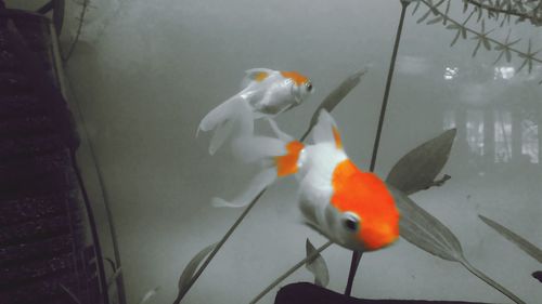 Close-up of orange wall