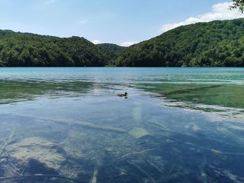 Scenic view of lake and mountains