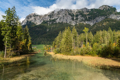 Scenic view of lake in forest against sky