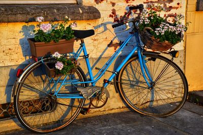 Bicycle parked by potted plants in front of wall