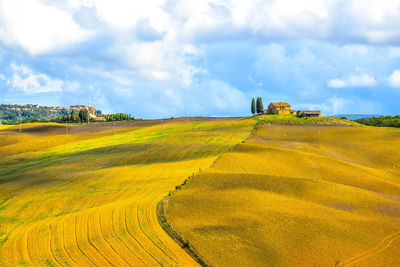 Scenic view of agricultural field against sky