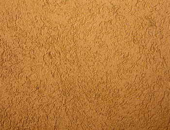 Full frame shot of wood