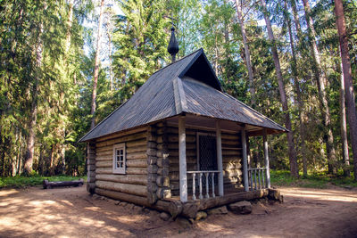 House in forest