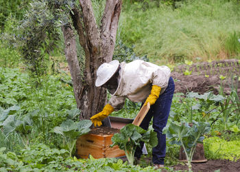 Man working in basket