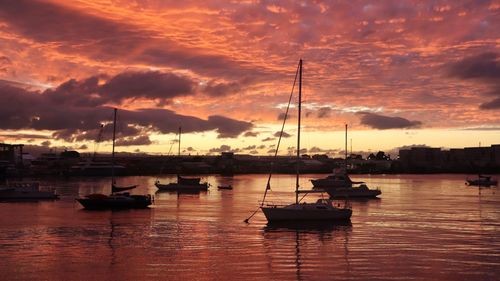 Sailboats in marina at sunset