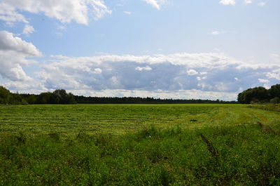 Scenic view of field against sky