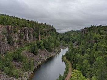 Scenic view of river amidst trees against sky