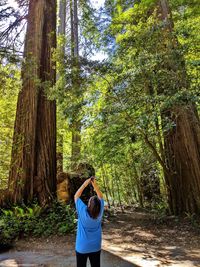 Rear view of woman standing by trees in forest