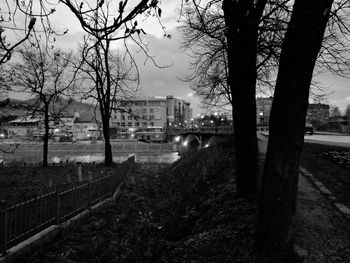 Trees and cityscape against sky
