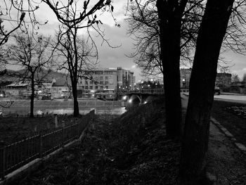 Trees and cityscape against sky