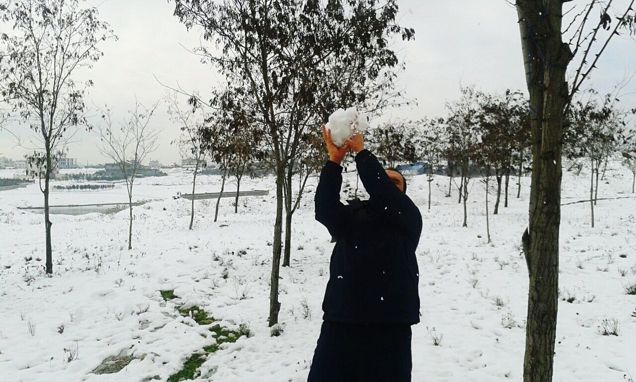 snow, winter, cold temperature, season, weather, tree, lifestyles, warm clothing, bare tree, standing, leisure activity, covering, white color, field, nature, tree trunk, clear sky, front view