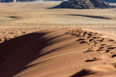 Surface level of sand dune