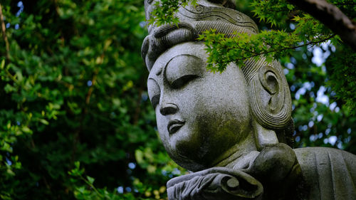 Close-up of buddha statue at takahatafudoson