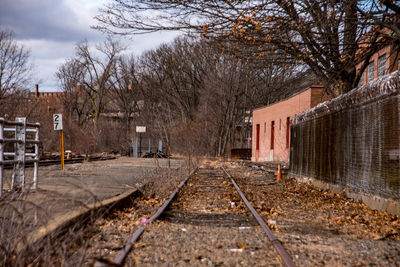 Railroad tracks amidst bare trees against sky