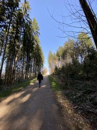 Rear view of man walking on road amidst trees