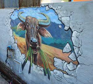 Portrait of horse on wall