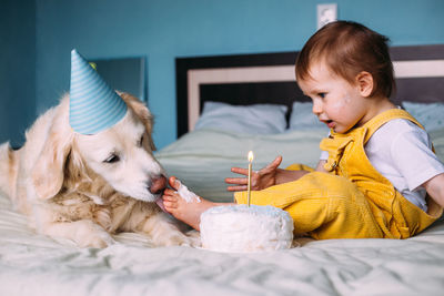 Labrador golden retriever together with a little cute child celebrate birthday