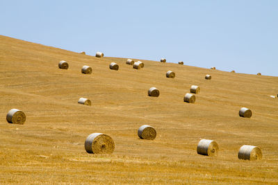 Hay bales on field against clear sky