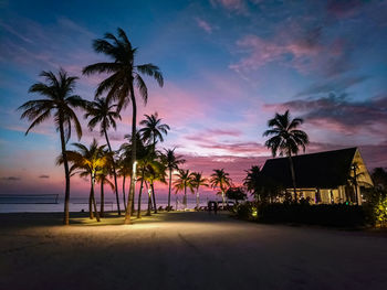 Palm trees on beach against sky at sunset