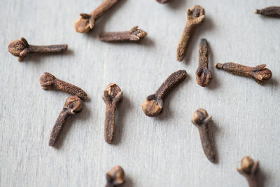 High angle view of cloves on table