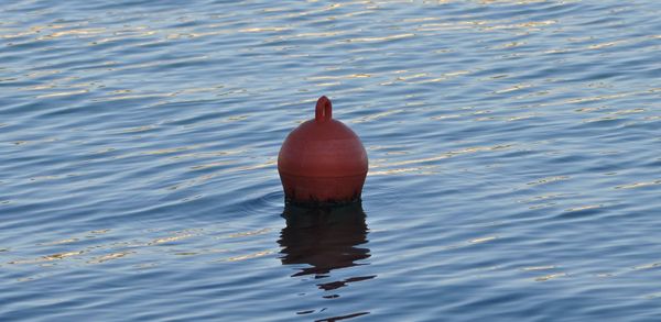 High angle view of floating on water in lake