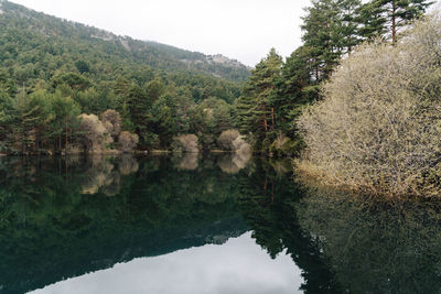 Scenic view of lake by trees against sky