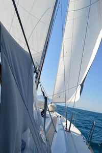 Sailboat sailing in sea against sky