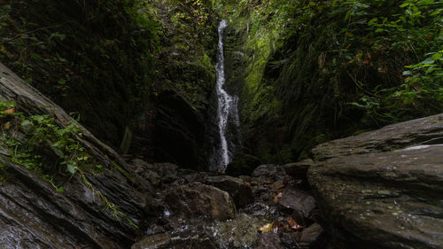 Scenic view of waterfall in forest