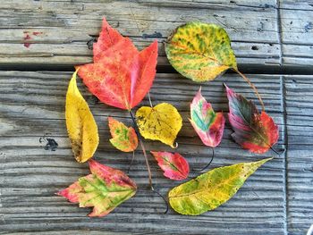 High angle view of maple leaves on table