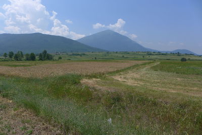 Scenic view of field against sky