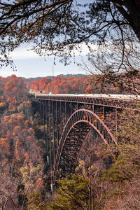 Arch bridge in forest against sky during autumn