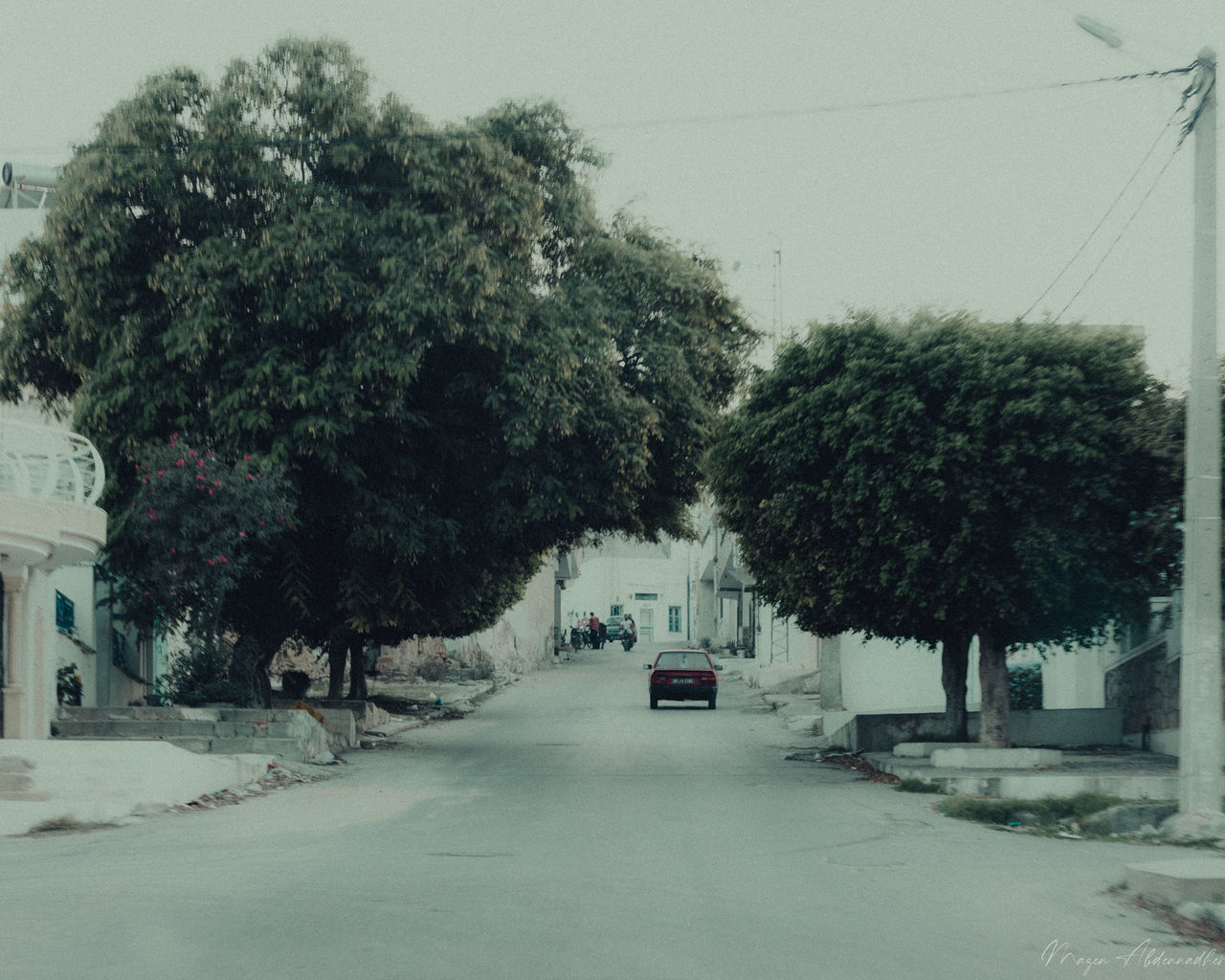 CARS ON ROAD BY TREES AGAINST SKY