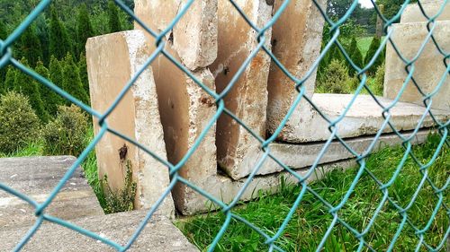 Close-up of chainlink fence