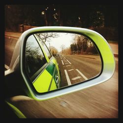 Reflection of trees in side-view mirror