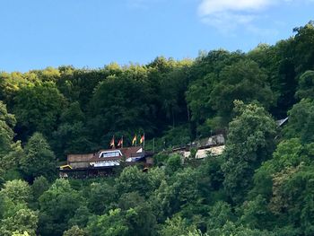 High angle view of trees in forest against sky