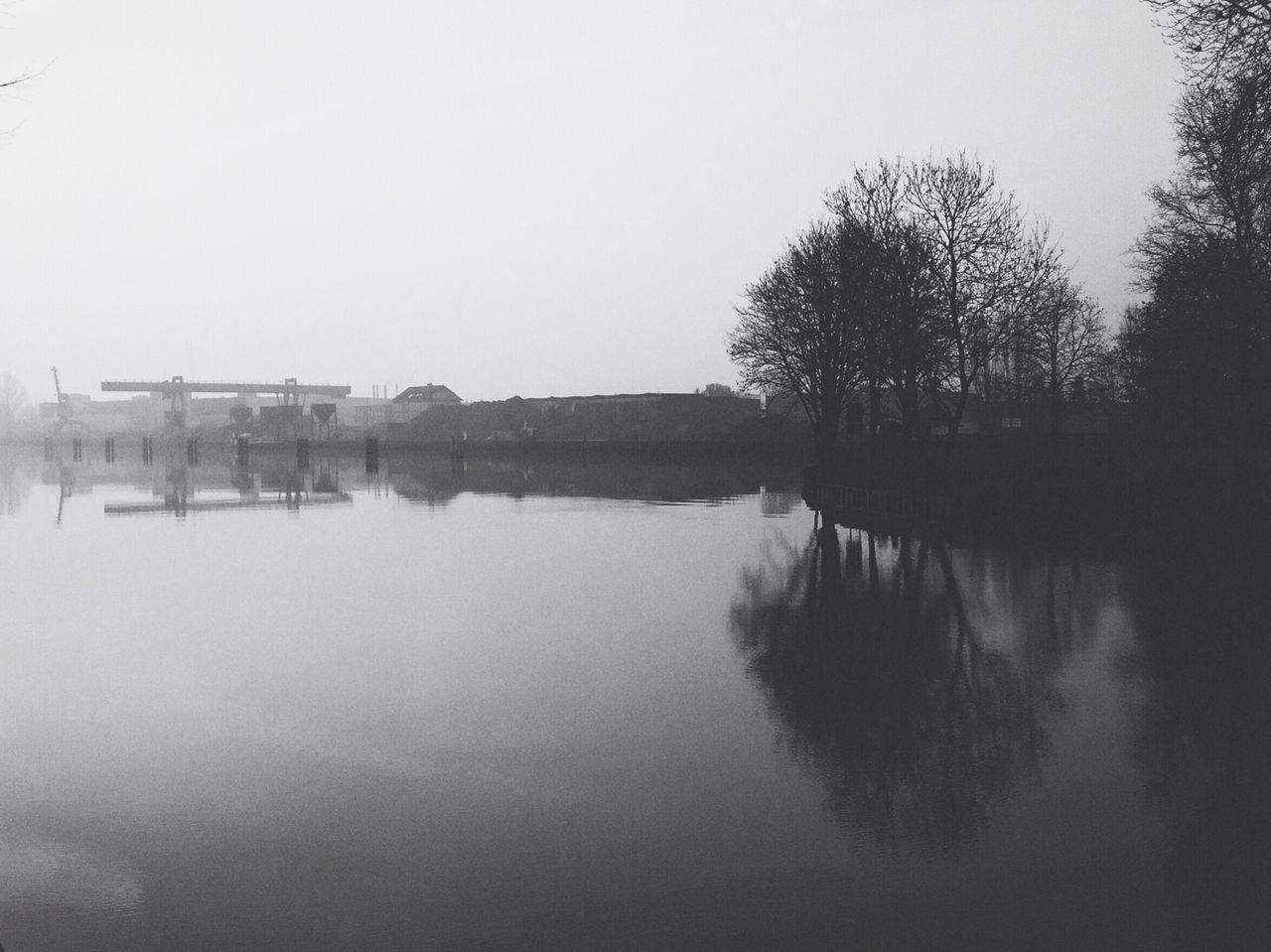 tree, water, tranquility, silhouette, clear sky, nature, lake, tranquil scene, reflection, river, foggy, sky, waterfront, beauty in nature, growth, outdoors, scenics, built structure, copy space