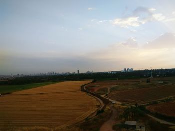 Scenic view of agricultural field against sky